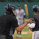 Image for article titled Umpires will definitely handle being challenged well